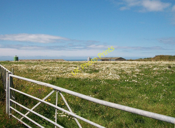 Photo 6"x4" Flowery field next to the one with the much photographed standing stone Llangwnnadl c2010