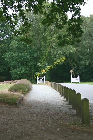 Photo 6"x4" Deans Lane Walton on the Hill c2010