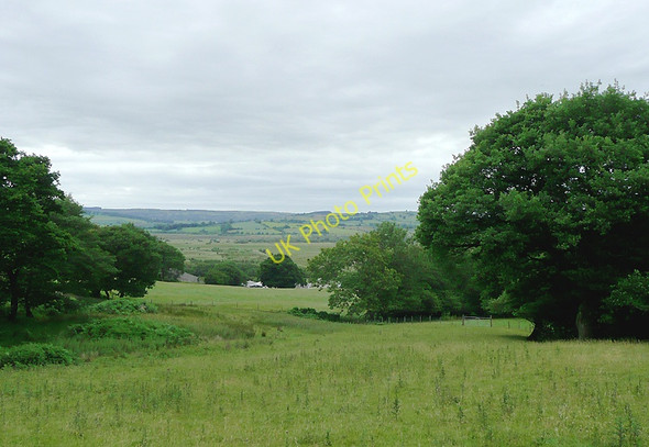 Photo 6"x4" Grazing land overlooking the Teifi valley north-east of Tregaron Swyddffynnon c2010