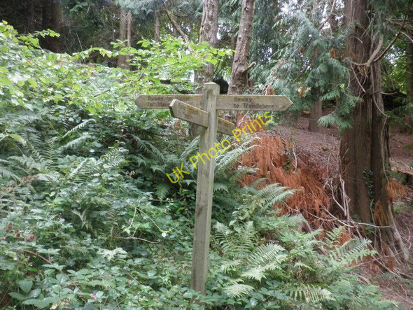 Photo 6"x4" Signpost at path intersection, Houndtor Wood Lustleigh Cleave c2010