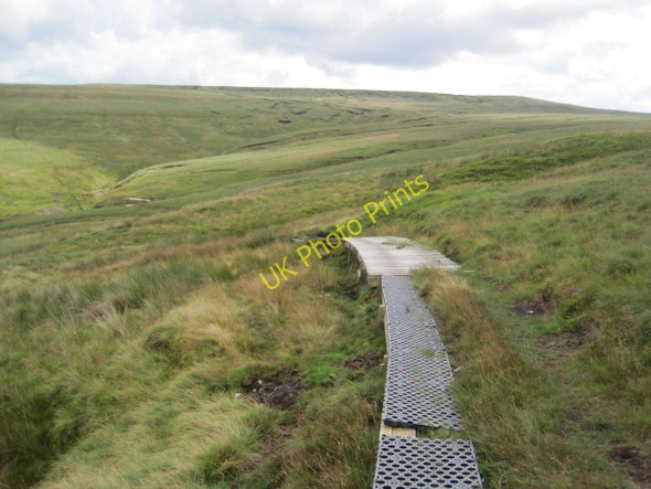 Photo 6"x4" Bridleway towards Wellhope Burn Carrsheild c2010