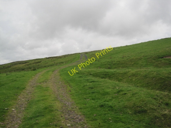 Photo 6"x4" Bridleway towards Wellhope Moor Galligill c2010