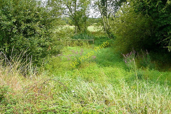 Photo 6"x4" Wey and Arun Canalnear Harsfold Bridge Strood Green\/TQ0224 c2010