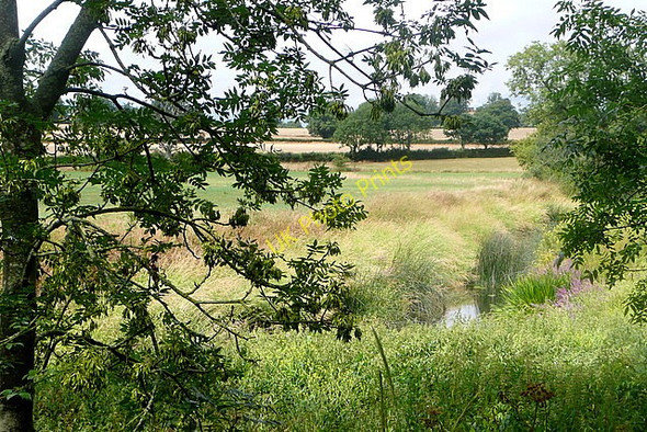 Photo 6"x4" River Arun near Harsfold Adversane c2010