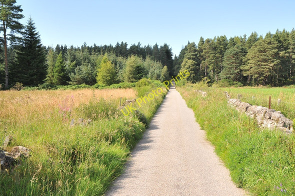 Photo 6"x4" Minor road near Budgate Cawdor c2010