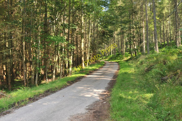 Photo 6"x4" Minor road near Old Newton of Budgate Clephanton\/NH8150 c2010