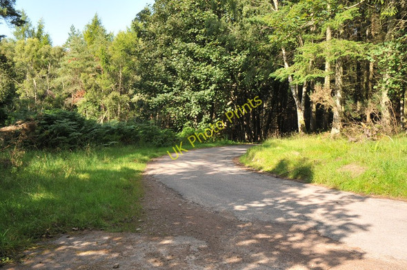 Photo 6"x4" Minor road near Old Newton of Budgate Clephanton\/NH8150 c2010 P1