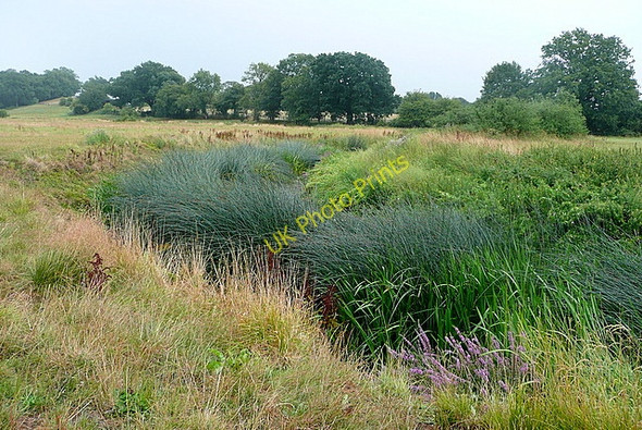 Photo 6"x4" River Arun Billingshurst c2010