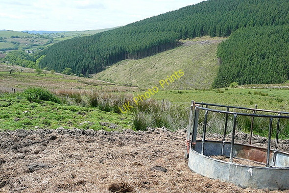 Photo 6"x4" Above Afon Lwynor Rhandirmwyn c2010