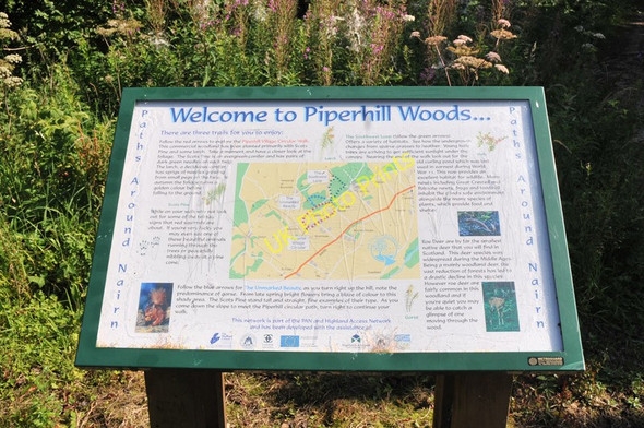 Photo 6"x4" Information board at Piperhill Woods Culcharry c2010
