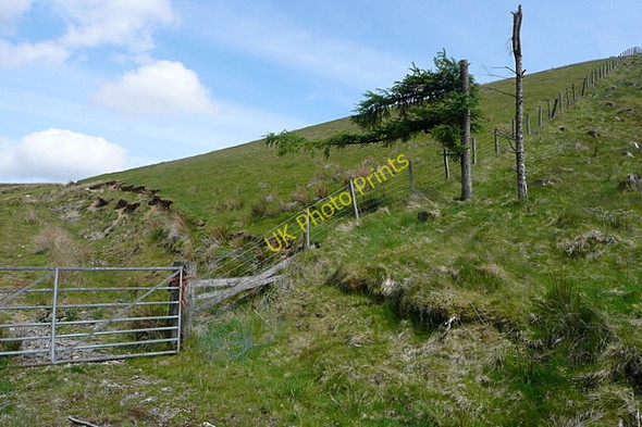 Photo 6"x4" Gate onto the access land Bryn Nicol c2010