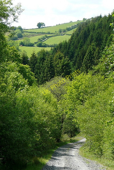 Photo 6"x4" Descent of Nant Lwynor Rhandirmwyn c2010