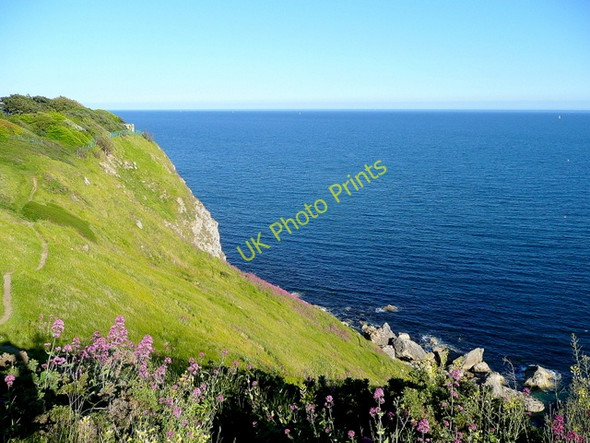 Photo 6"x4" Coast Path west of Lulworth West Lulworth c2010