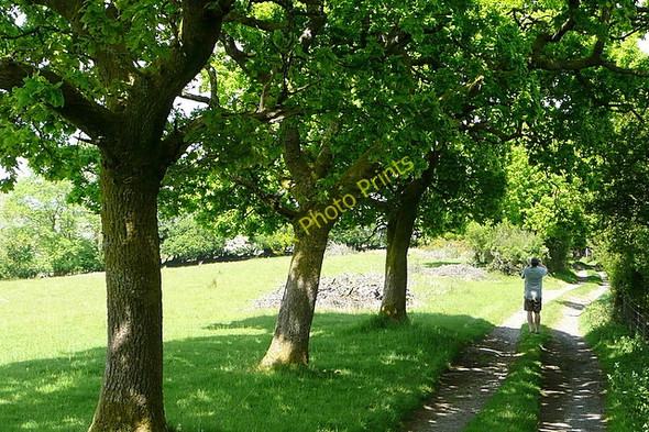 Photo 6"x4" North of Sarn-y-geifr Rhandirmwyn c2010