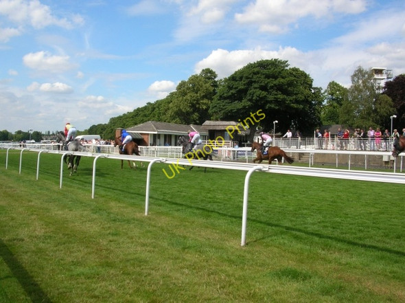 Photo 6"x4" Horses heading for the start York\/SE5951 c2010