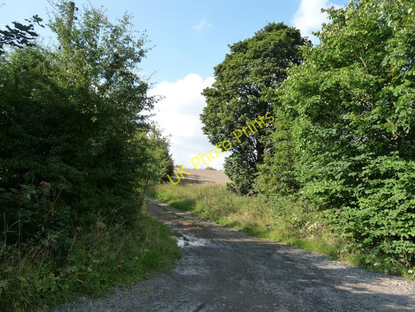 Photo 6"x4" Rough track Normanton\/SE3822 c2010