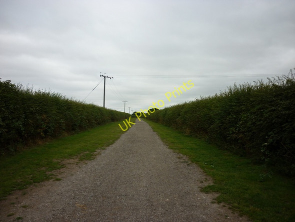 Photo 6"x4" A walk to Cottingham #30 West Ella c2010