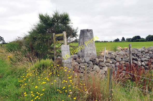 Photo 6"x4" Trig point near Balvaird Newmore c2010