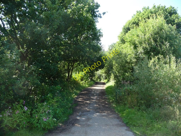Photo 6"x4" The former Methley Joint railway Methley Lanes c2010