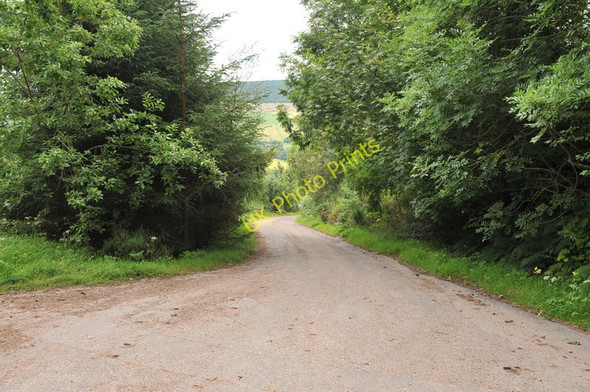Photo 6"x4" Near the end of the public road at Bottacks Bottacks c2010