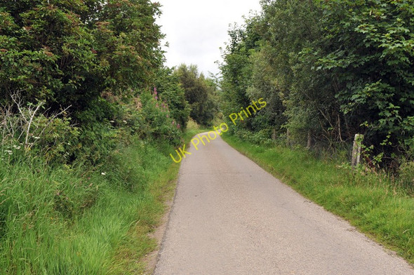 Photo 6"x4" Road through Heights of Fodderty Fodderty c2010