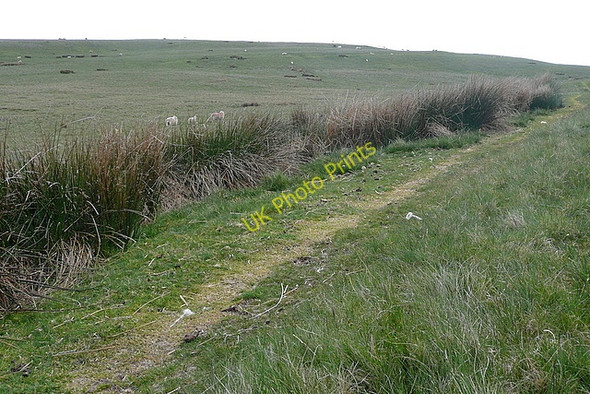 Photo 6"x4" Track towards the Roman Camp Talsarn\/SN7726 c2010