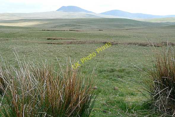 Photo 6"x4" Towards the Black Mountain Talsarn\/SN7726 c2010