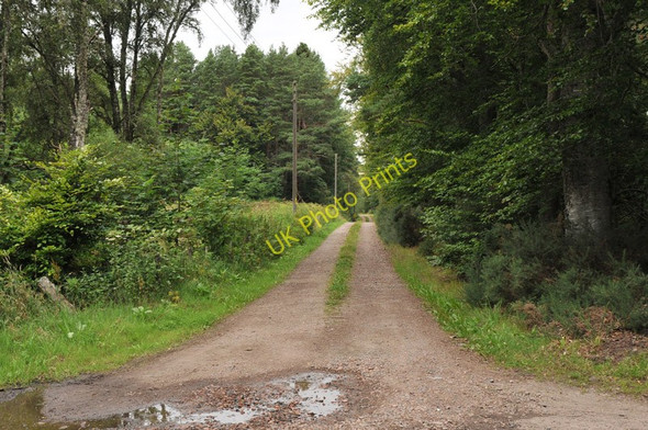 Photo 6"x4" Road to Teanahuig Munlochy c2010