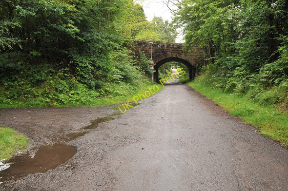Photo 6"x4" Railway bridge at Resaurie Beechwood\/NH6944 c2010