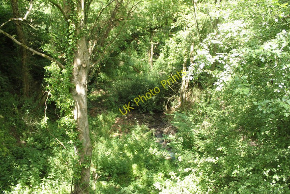 Photo 6"x4" 2010 : All that remains of the North Somerset Railway Breach\/ST6260 c2010