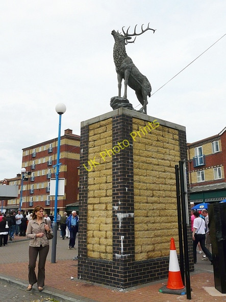Photo 6"x4" Statue of a stag, Hartlepool Marina Hartlepool c2010