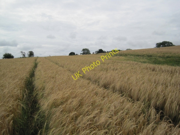 Photo 6"x4" Footpath towards Slaley Slaley\/NY9757 c2010