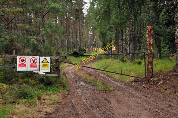 Photo 6"x4" Recent logging activity near Craig Leach Dochgarroch c2010