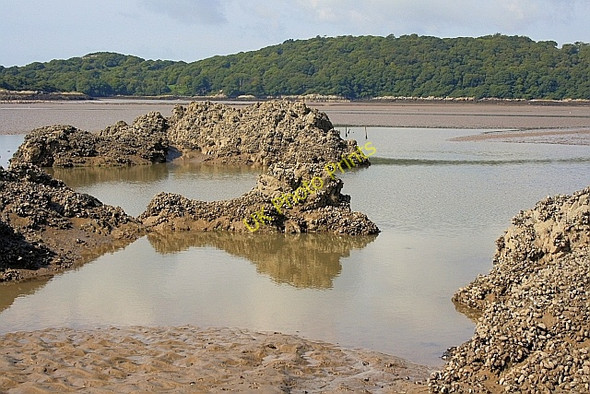 Photo 6"x4" Spring Stones Rockcliffe\/NX8453 c2010