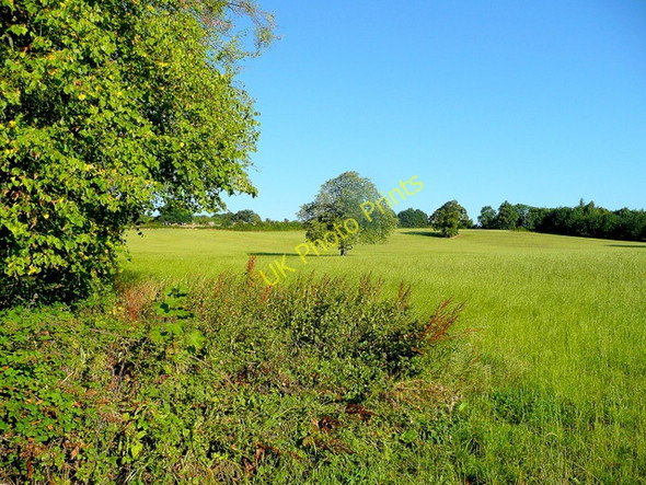 Photo 6"x4" Pastoral scene near Redmarley D'Abitot Redmarley D'Abitot c2010