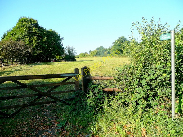 Photo 6"x4" Footpath across fields Redmarley D'Abitot c2010