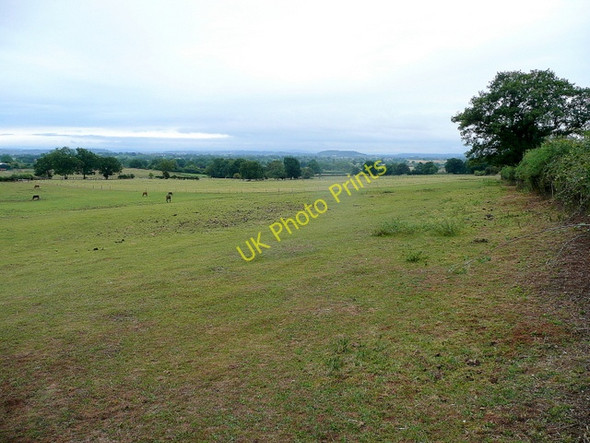 Photo 6"x4" Pastoral West Gloucestershire Hawcross c2010