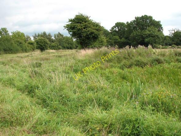 Photo 6"x4" Pasture west of Church Farm, Hethel Hethel c2010