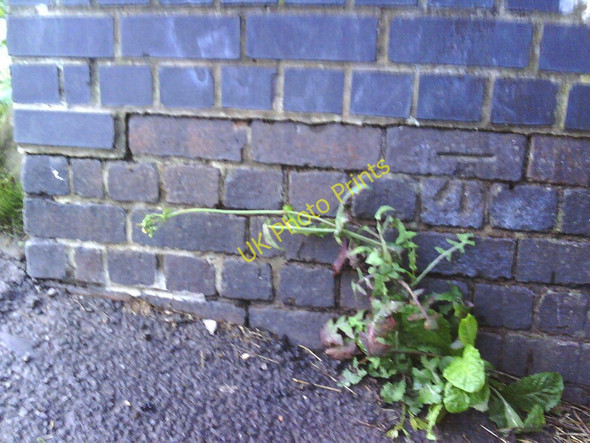 Photo 6"x4" Benchmark on Railway Bridge east of Ashley Down Road Bristol c2010