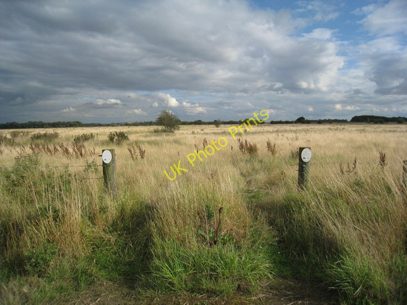Photo 6"x4" Managed Land on Worlaby Carrs Worlaby\/TA0113 c2010
