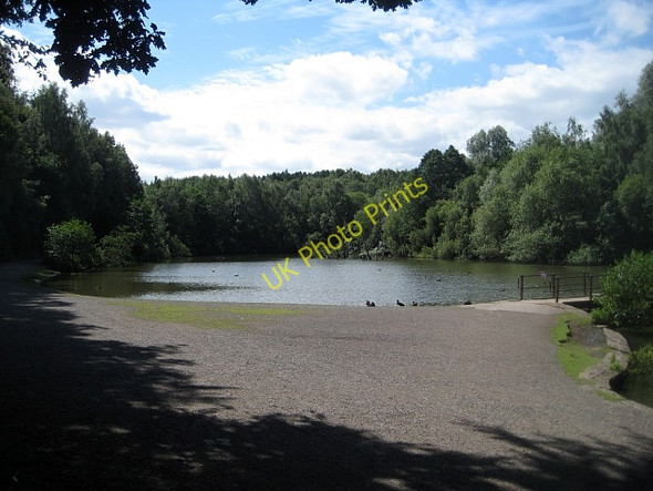 Photo 6"x4" Newmillerdam Country Park-Top lake Newmillerdam c2010