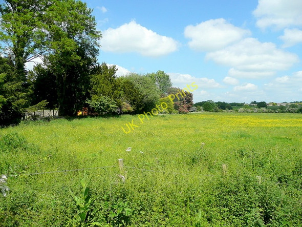 Photo 6"x4" Stratton Meadow Cirencester c2010