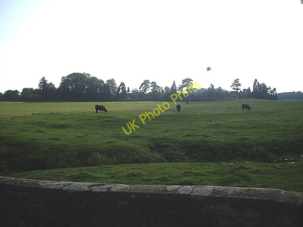 Photo 6"x4" Tofts Meadow, Stanwick Forcett c2010