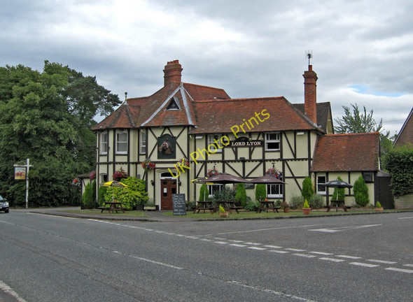 Photo 6"x4" The Lord Lyon (1) Stockcross c2010