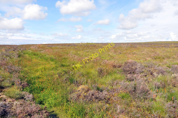 Photo 6"x4" Moorland near Oliclate Raggra c2010