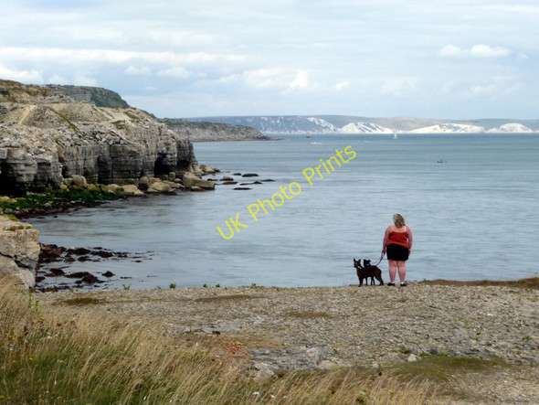Photo 6"x4" Cliff top, Portland, Dorset Southwell\/SY6870 c2010 P1