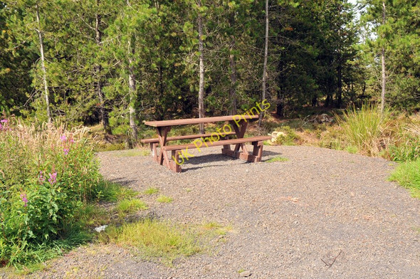 Photo 6"x4" Picnic area in Blingery Forest Tannach c2010