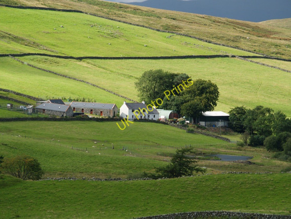 Photo 6"x4" Grobdale of Girthon Bennan Hill\/NX6264 c2010