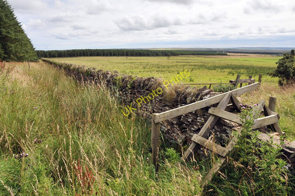 Photo 6"x4" Stile over a wall at the forest edge Keiss c2010