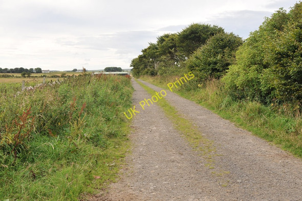 Photo 6"x4" Farm track near Thura Mains Brabsterdorran c2010